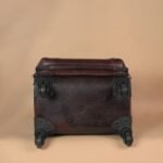 The Brown Hide Urban Pro Cabin Trolley
